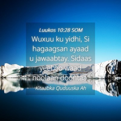 Picture 04 - Luukos 10:28 SOM - Wuxuu ku yidhi, Si hagaagsan ayaad u jawaabtay. - Bible Verse Picture