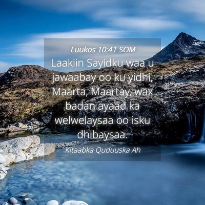 Picture 04 - Luukos 10:41 SOM - Laakiin Sayidku waa u jawaabay oo ku yidhi, - Bible Verse Picture