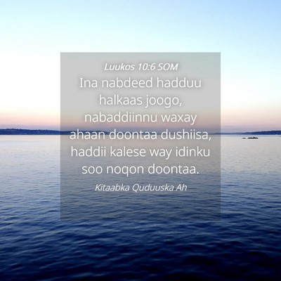 Picture 04 - Luukos 10:6 SOM - Ina nabdeed hadduu halkaas joogo, nabaddiinnu - Bible Verse Picture