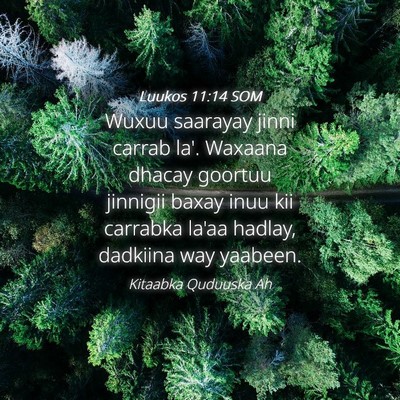 Picture 04 - Luukos 11:14 SOM - Wuxuu saarayay jinni carrab la'. Waxaana dhacay - Bible Verse Picture