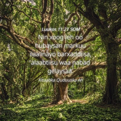 Picture 04 - Luukos 11:21 SOM - Nin xoog leh oo hubaysan markuu ilaalinayo - Bible Verse Picture