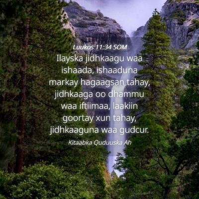 Picture 04 - Luukos 11:34 SOM - Ilayska jidhkaagu waa ishaada, ishaaduna markay - Bible Verse Picture