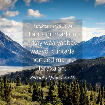Picture 04 - Luukos 11:38 SOM - Farrisigii markuu arkay waa yaabay, waayo, - Bible Verse Picture