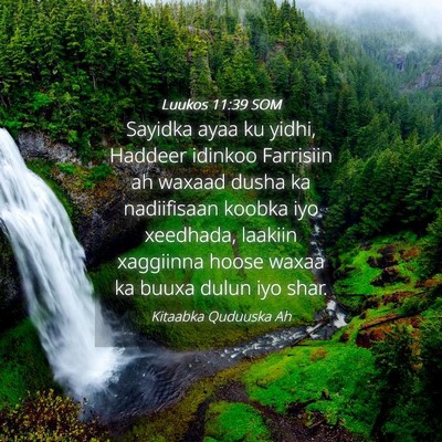 Picture 04 - Luukos 11:39 SOM - Sayidka ayaa ku yidhi, Haddeer idinkoo Farrisiin - Bible Verse Picture