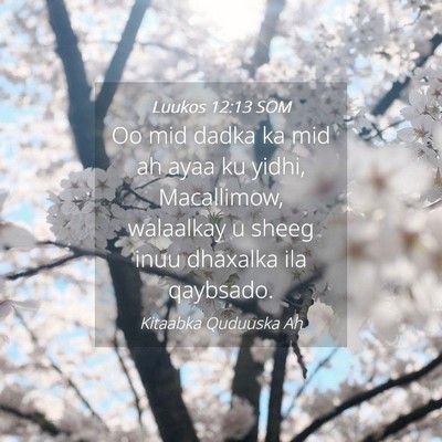 Picture 04 - Luukos 12:13 SOM - Oo mid dadka ka mid ah ayaa ku yidhi, Macallimow, - Bible Verse Picture