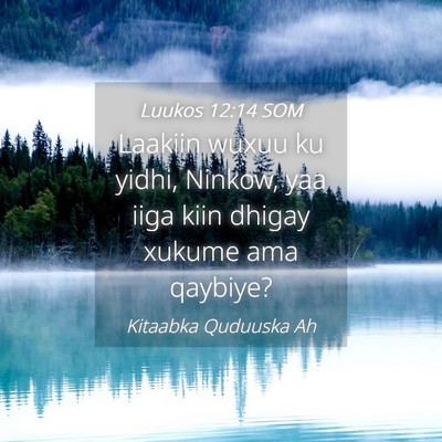 Picture 04 - Luukos 12:14 SOM - Laakiin wuxuu ku yidhi, Ninkow, yaa iiga kiin - Bible Verse Picture