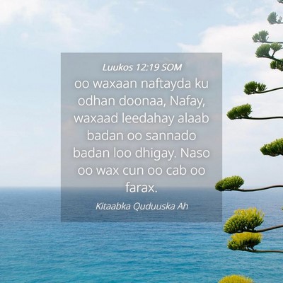 Picture 04 - Luukos 12:19 SOM - oo waxaan naftayda ku odhan doonaa, Nafay, waxaad - Bible Verse Picture