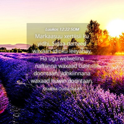 Picture 04 - Luukos 12:22 SOM - Markaasuu xertiisii ku yidhi, Sidaa darteed - Bible Verse Picture
