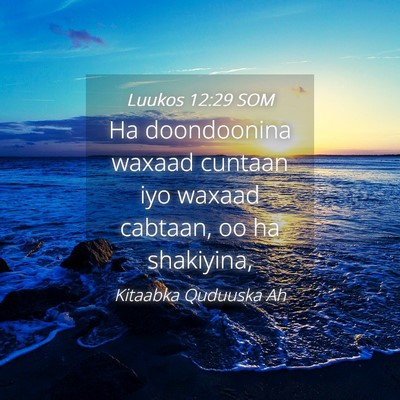 Picture 04 - Luukos 12:29 SOM - Ha doondoonina waxaad cuntaan iyo waxaad cabtaan, - Bible Verse Picture
