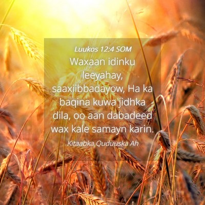 Picture 04 - Luukos 12:4 SOM - Waxaan idinku leeyahay, saaxiibbadayow, Ha ka - Bible Verse Picture