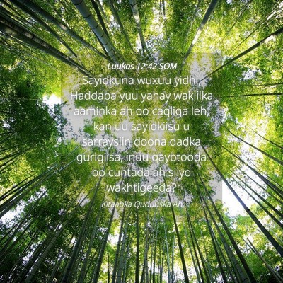 Picture 04 - Luukos 12:42 SOM - Sayidkuna wuxuu yidhi, Haddaba yuu yahay wakiilka - Bible Verse Picture