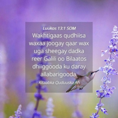 Picture 04 - Luukos 13:1 SOM - Wakhtigaas qudhiisa waxaa joogay qaar wax uga - Bible Verse Picture