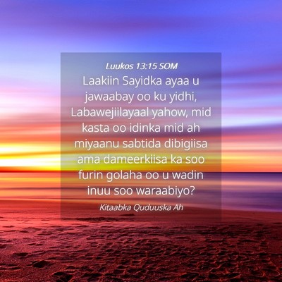 Picture 04 - Luukos 13:15 SOM - Laakiin Sayidka ayaa u jawaabay oo ku yidhi, - Bible Verse Picture