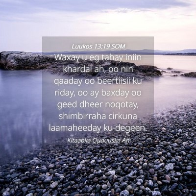 Picture 04 - Luukos 13:19 SOM - Waxay u eg tahay iniin khardal ah, oo nin qaaday - Bible Verse Picture