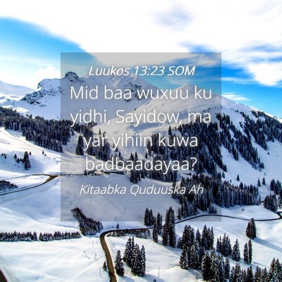 Picture 04 - Luukos 13:23 SOM - Mid baa wuxuu ku yidhi, Sayidow, ma yar yihiin - Bible Verse Picture