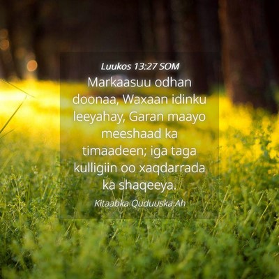 Picture 04 - Luukos 13:27 SOM - Markaasuu odhan doonaa, Waxaan idinku leeyahay, - Bible Verse Picture