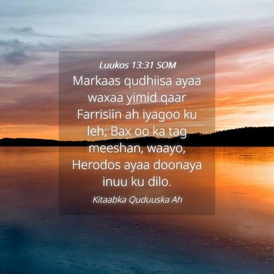 Picture 04 - Luukos 13:31 SOM - Markaas qudhiisa ayaa waxaa yimid qaar Farrisiin - Bible Verse Picture