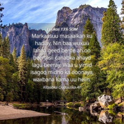 Picture 04 - Luukos 13:6 SOM - Markaasuu masaalkan ku hadlay, Nin baa wuxuu - Bible Verse Picture