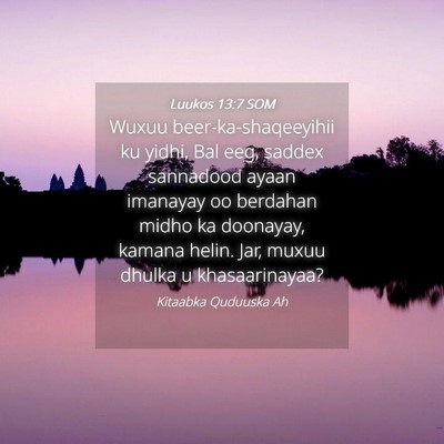 Picture 04 - Luukos 13:7 SOM - Wuxuu beer-ka-shaqeeyihii ku yidhi, Bal eeg, - Bible Verse Picture