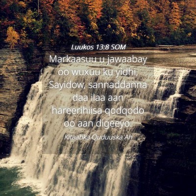 Picture 04 - Luukos 13:8 SOM - Markaasuu u jawaabay oo wuxuu ku yidhi, Sayidow, - Bible Verse Picture