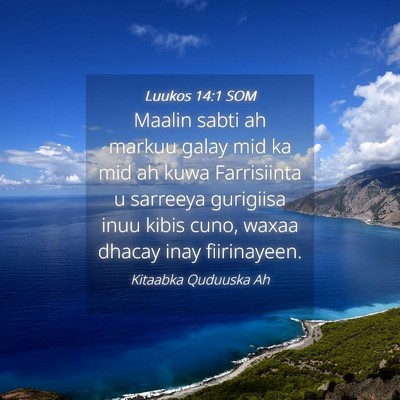 Picture 04 - Luukos 14:1 SOM - Maalin sabti ah markuu galay mid ka mid ah kuwa - Bible Verse Picture