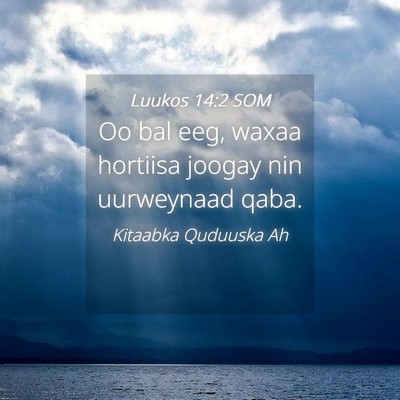 Picture 04 - Luukos 14:2 SOM - Oo bal eeg, waxaa hortiisa joogay nin uurweynaad - Bible Verse Picture
