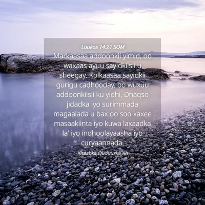 Picture 04 - Luukos 14:21 SOM - Markaasaa addoonkii yimid, oo waxaas ayuu - Bible Verse Picture