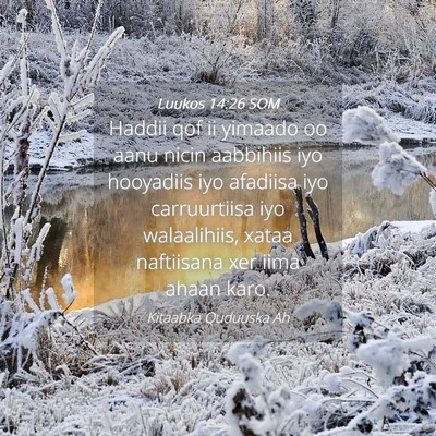 Picture 04 - Luukos 14:26 SOM - Haddii qof ii yimaado oo aanu nicin aabbihiis iyo - Bible Verse Picture