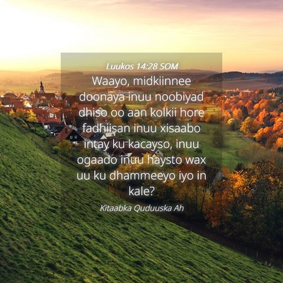 Picture 04 - Luukos 14:28 SOM - Waayo, midkiinnee doonaya inuu noobiyad dhiso oo - Bible Verse Picture