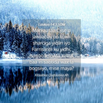 Picture 04 - Luukos 14:3 SOM - Markaasaa Ciise u jawaabay oo kuwii sharciga - Bible Verse Picture