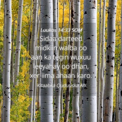 Picture 04 - Luukos 14:33 SOM - Sidaa darteed midkiin walba oo aan ka tegin wuxuu - Bible Verse Picture