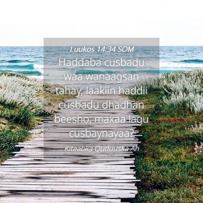 Picture 04 - Luukos 14:34 SOM - Haddaba cusbadu waa wanaagsan tahay, laakiin - Bible Verse Picture