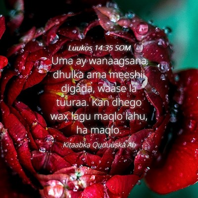 Picture 04 - Luukos 14:35 SOM - Uma ay wanaagsana dhulka ama meeshii digada, - Bible Verse Picture