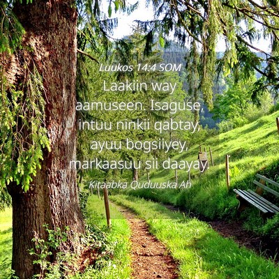 Picture 04 - Luukos 14:4 SOM - Laakiin way aamuseen. Isaguse, intuu ninkii - Bible Verse Picture