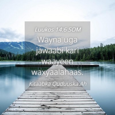 Picture 04 - Luukos 14:6 SOM - Wayna uga jawaabi kari waayeen - Bible Verse Picture