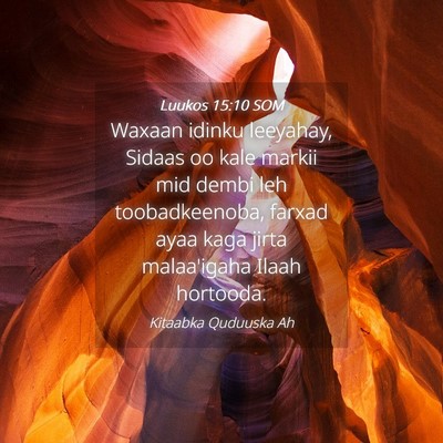 Picture 04 - Luukos 15:10 SOM - Waxaan idinku leeyahay, Sidaas oo kale markii mid - Bible Verse Picture
