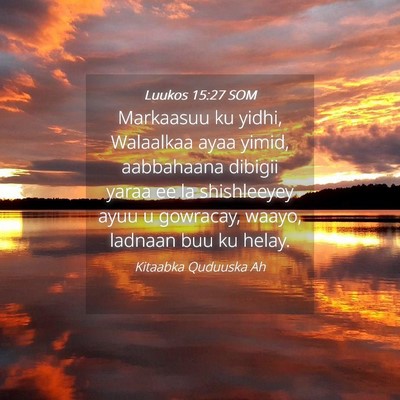Picture 04 - Luukos 15:27 SOM - Markaasuu ku yidhi, Walaalkaa ayaa yimid, - Bible Verse Picture