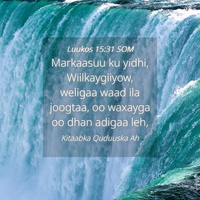 Picture 04 - Luukos 15:31 SOM - Markaasuu ku yidhi, Wiilkaygiiyow, weligaa waad - Bible Verse Picture