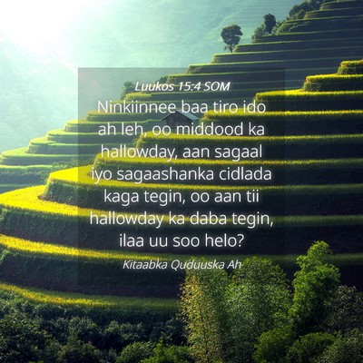 Picture 04 - Luukos 15:4 SOM - Ninkiinnee baa tiro ido ah leh, oo middood ka - Bible Verse Picture