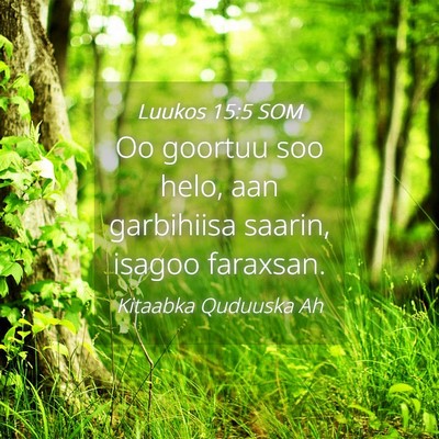Picture 04 - Luukos 15:5 SOM - Oo goortuu soo helo, aan garbihiisa saarin, - Bible Verse Picture