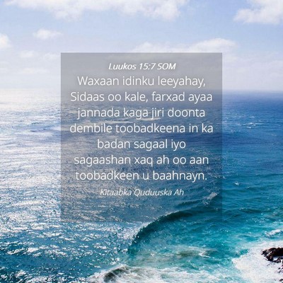 Picture 04 - Luukos 15:7 SOM - Waxaan idinku leeyahay, Sidaas oo kale, farxad - Bible Verse Picture