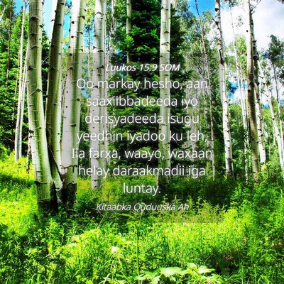 Picture 04 - Luukos 15:9 SOM - Oo markay hesho, aan saaxiibbadeeda iyo - Bible Verse Picture