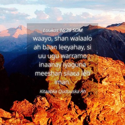 Picture 04 - Luukos 16:28 SOM - waayo, shan walaalo ah baan leeyahay, si uu ugu - Bible Verse Picture