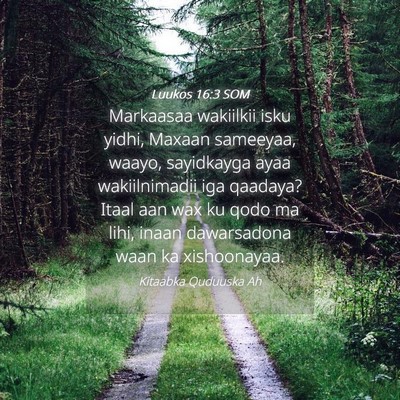 Picture 04 - Luukos 16:3 SOM - Markaasaa wakiilkii isku yidhi, Maxaan sameeyaa, - Bible Verse Picture