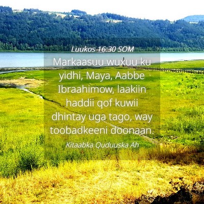 Picture 04 - Luukos 16:30 SOM - Markaasuu wuxuu ku yidhi, Maya, Aabbe Ibraahimow, - Bible Verse Picture