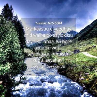 Picture 04 - Luukos 16:5 SOM - Markaasuu u yeedhay mid walba oo sayidkiisu dayn - Bible Verse Picture