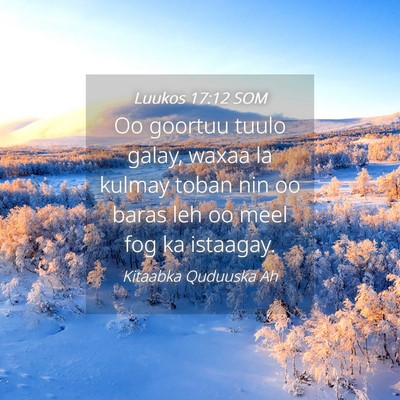 Picture 04 - Luukos 17:12 SOM - Oo goortuu tuulo galay, waxaa la kulmay toban nin - Bible Verse Picture
