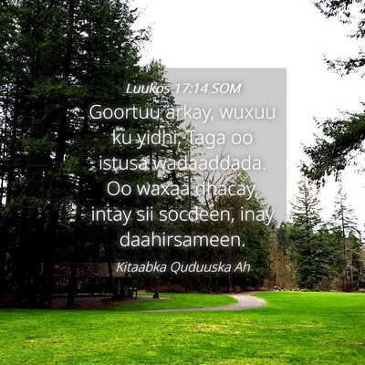 Picture 04 - Luukos 17:14 SOM - Goortuu arkay, wuxuu ku yidhi, Taga oo istusa - Bible Verse Picture
