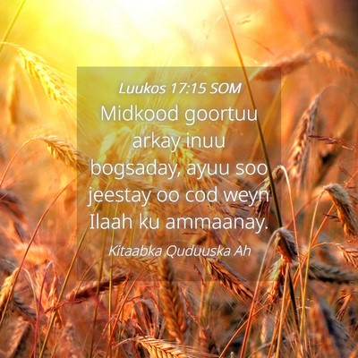 Picture 04 - Luukos 17:15 SOM - Midkood goortuu arkay inuu bogsaday, ayuu soo - Bible Verse Picture