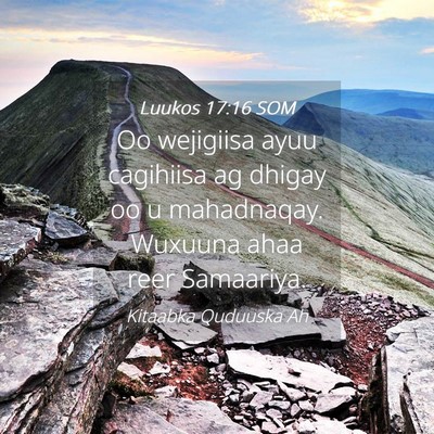 Picture 04 - Luukos 17:16 SOM - Oo wejigiisa ayuu cagihiisa ag dhigay oo u - Bible Verse Picture